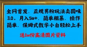 全网首发正规男粉玩法卖圆味3.0，月入5W+，简单粗暴，操作简单，保姆式教学，小白轻松上手-新手副业项目