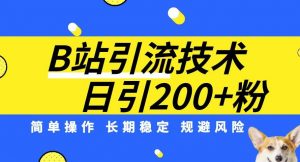 B站引流技术:每天引流200精准粉,简单操作,长期稳定,规避风险-新手副业项目