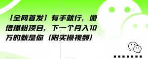 【全网首发】有手就行,微信爆粉项目,下一个月入10万的就是你(附实操视频)【揭秘】-新手副业项目