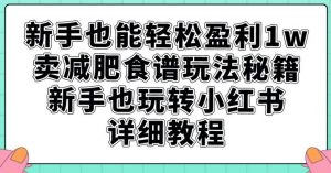 新手也能轻松盈利1w，卖减肥食谱玩法秘籍，新手也玩转小红书详细教程【揭秘】-新手副业项目