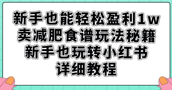 新手也能轻松盈利1w，卖减肥食谱玩法秘籍，新手也玩转小红书详细教程【揭秘】-新手副业项目
