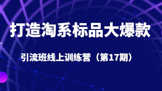 打造淘系标品大爆款引流班线上训练营（第17期）5天直播授课-新手副业项目