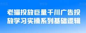 老猫投放巨量千川广告投放学习实操系列基础逻辑-新手副业项目