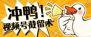 全球首发-视频号无限截留术-你不知道的流量沃土-新手副业项目