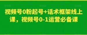 视频号0粉起号+话术框架线上课，视频号0-1运营必备课-新手副业项目