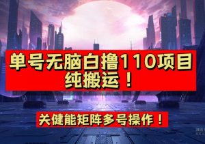 9月全网首发，单号直接白撸110！可多号操作，无脑搬运复制粘贴【揭秘】-新手副业项目