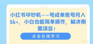 小红书印钞机——号成单账号月入5k+，小白也能简单操作，解决刚需项目【揭秘】-新手副业项目