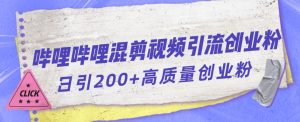 哔哩哔哩B站混剪视频引流创业粉日引300+-新手副业项目