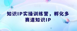 知识IP实操训练营,孵化多赛道知识IP-新手副业项目