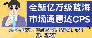 全新亿万级蓝海市场通惠达cps,最强管道收入,让你睡着赚、躺着赚、玩着赚、轻松赚【揭秘】-新手副业项目