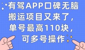 有驾APP口碑无脑搬运项目又来了，单号最高110块，可多号操作-新手副业项目