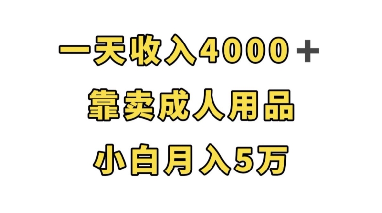 一天收入4000+，靠卖成人用品，小白轻松月入5万【揭秘】-新手副业项目