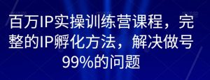 百万IP实操训练营课程，完整的IP孵化方法，解决做号99%的问题-新手副业项目