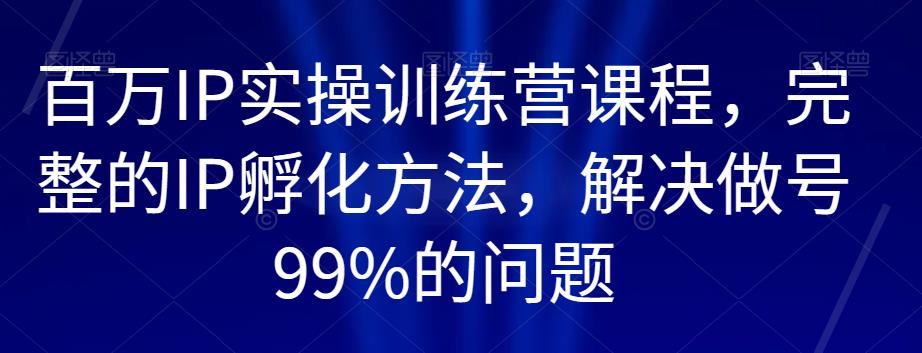 百万IP实操训练营课程，完整的IP孵化方法，解决做号99%的问题-新手副业项目