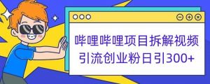哔哩哔哩项目拆解引流创业粉日引300+小白可轻松上手【揭秘】-新手副业项目