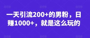 一天引流200+的男粉,日赚1000+,就是这么玩的【揭秘】-新手副业项目