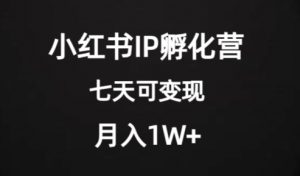 价值2000+的小红书IP孵化营项目，超级大蓝海，七天即可开始变现，稳定月入1W+-新手副业项目