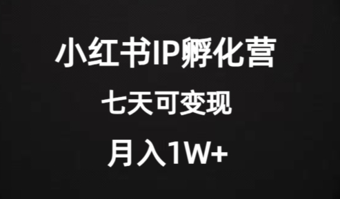 价值2000+的小红书IP孵化营项目，超级大蓝海，七天即可开始变现，稳定月入1W+-新手副业项目