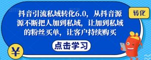 抖音引流私域转化6.0，从抖音源源不断把人加到私域，让加到私域的粉丝买单，让客户持续购买-新手副业项目