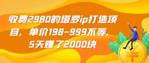 收费2980的塔罗ip打造项目，单价198-999不等，5天赚了2000块【揭秘】-新手副业项目
