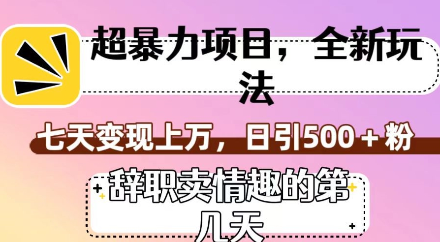 超暴利项目，全新玩法（辞职卖情趣的第几天），七天变现上万，日引500+粉【揭秘】-新手副业项目