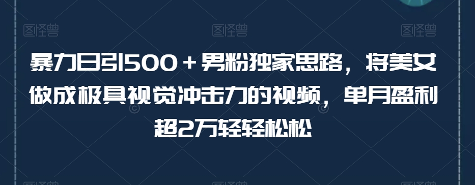 暴力日引500＋男粉独家思路，将美女做成极具视觉冲击力的视频，单月盈利超2万轻轻松松-新手副业项目