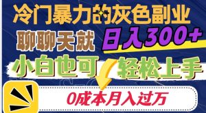冷门暴利的副业项目，聊聊天就能日入300+，0成本月入过万【揭秘】-新手副业项目