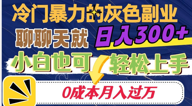 冷门暴利的副业项目，聊聊天就能日入300+，0成本月入过万【揭秘】-新手副业项目