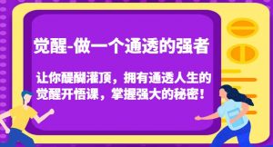 觉醒-做一个通透的强者，让你醍醐灌顶，拥有通透人生的觉醒开悟课，掌握强大的秘密！-新手副业项目