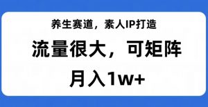养生赛道，素人IP打造，流量很大，可矩阵，月入1w+【揭秘】-新手副业项目