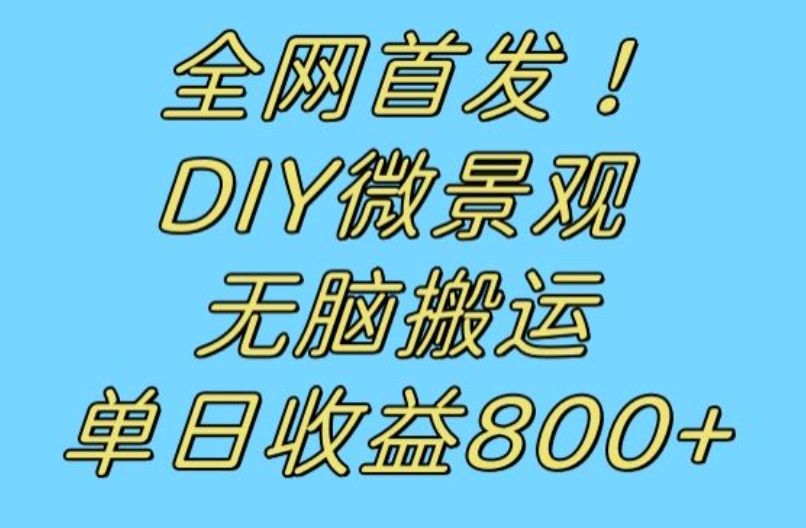全网首发冷门赛道！DIY微景观，无脑搬运视频，日收益800+【揭秘】-新手副业项目