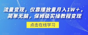 流量变现，仅靠播放量月入1W＋，简单无脑，保姆级实操教程【揭秘】-新手副业项目