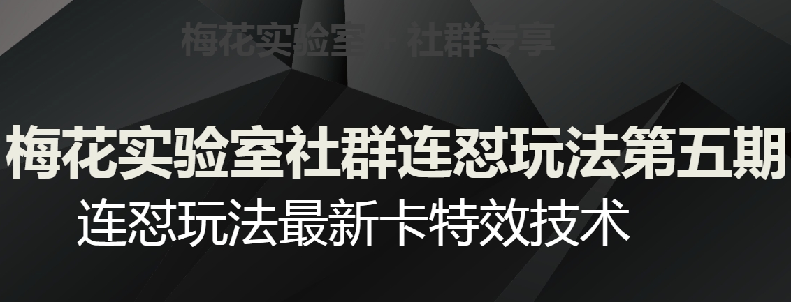 梅花实验室社群连怼玩法第五期，视频号连怼玩法最新卡特效技术-新手副业项目