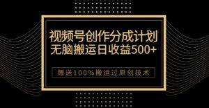 最新视频号创作分成计划，无脑搬运一天收益500+，100%搬运过原创技巧【揭秘】-新手副业项目