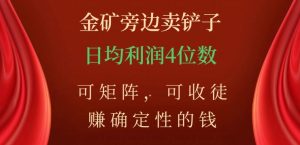 金矿旁边卖铲子，赚确定性的钱，可矩阵，可收徒，日均利润4位数【揭秘】-新手副业项目