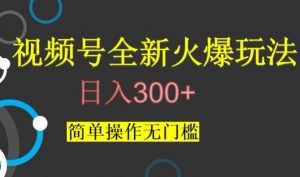 视频号最新爆火玩法，日入300+，简单操作无门槛【揭秘】-新手副业项目