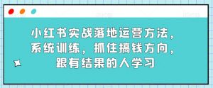 小红书实战落地运营方法，系统训练，抓住搞钱方向，跟有结果的人学习-新手副业项目