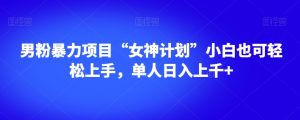 男粉暴力项目“女神计划”小白也可轻松上手，单人日入上千+【揭秘】-新手副业项目