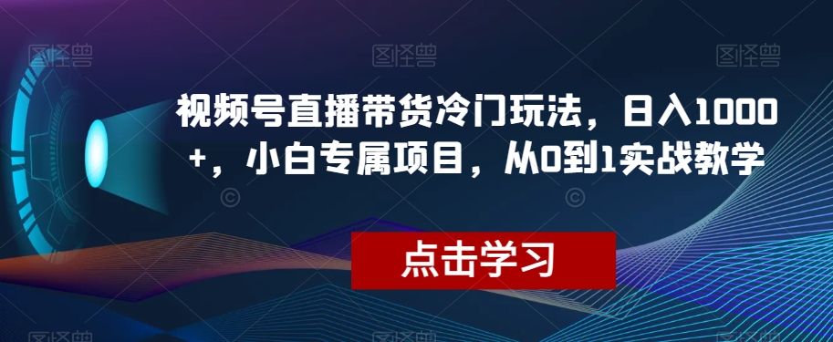 视频号直播带货冷门玩法，日入1000+，小白专属项目，从0到1实战教学【揭秘】-新手副业项目