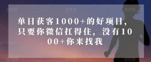 单日获客1000+的好项目，只要你微信扛得住，没有1000+你来找我【揭秘】-新手副业项目