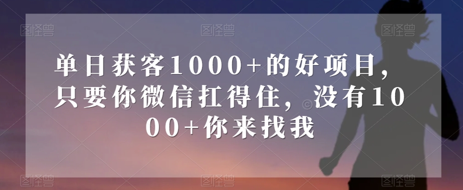 单日获客1000+的好项目，只要你微信扛得住，没有1000+你来找我【揭秘】-新手副业项目