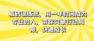 板砖训练营，用一年时间成为专业的人，带你突破行动局限，快速成长-新手副业项目