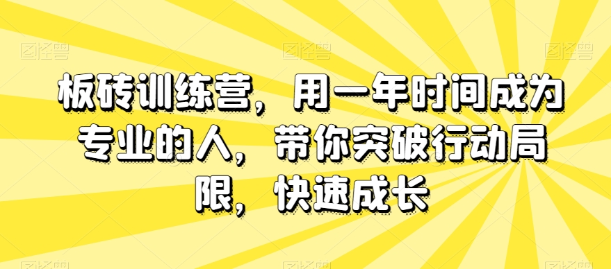 板砖训练营，用一年时间成为专业的人，带你突破行动局限，快速成长-新手副业项目