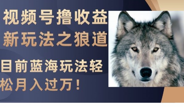 视频号撸收益新玩法之狼道,目前蓝海玩法,轻松月入过万【揭秘】-新手副业项目