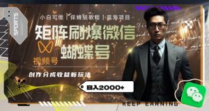 矩阵刷爆微信蝴蝶号创作者分成计划收益的新玩法，日入2000+【揭秘】-新手副业项目