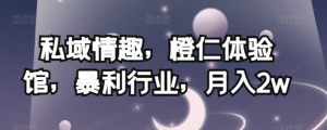 私域情趣，橙仁体验馆，暴利行业，月入2w【揭秘】-新手副业项目