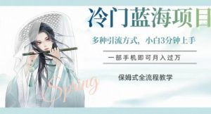 冷门蓝海项目，操作简单，小白3分钟上手，多种引流方式，保姆式全流程教学【揭秘】-新手副业项目