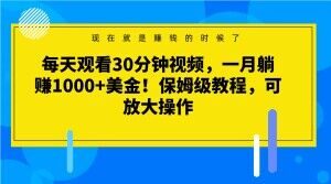 每天观看30分钟视频，一月躺赚1000+美金！保姆级教程，可放大操作【揭秘】-新手副业项目
