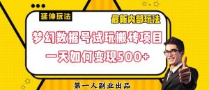 数据号回归玩法游戏试玩搬砖项目再创日入500+【揭秘】-新手副业项目