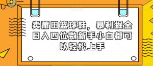 卖莆田篮球鞋，暴利掘金日入四位数新手小白都可以轻松上手【揭秘】-新手副业项目